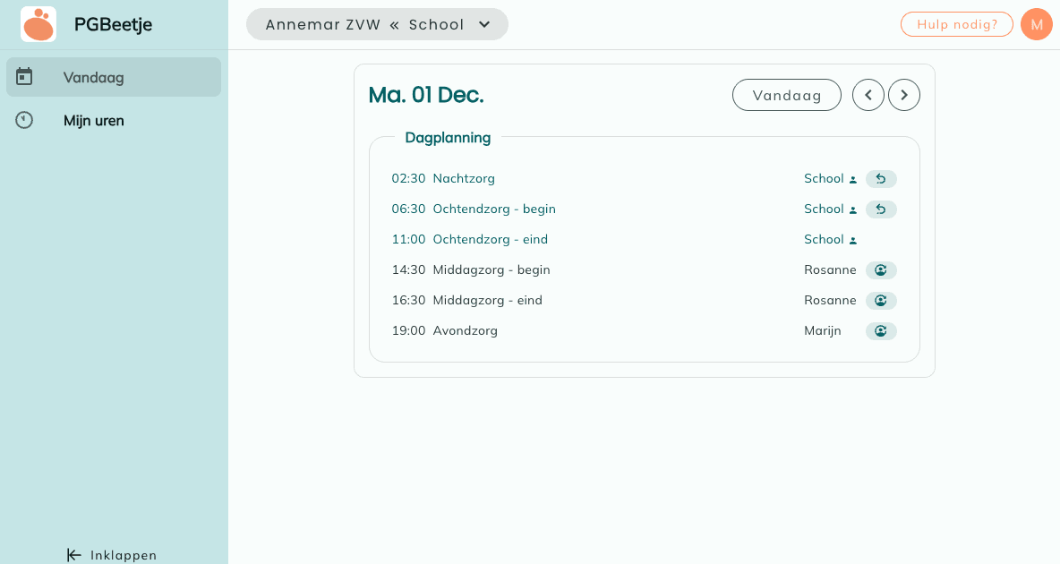 Een afbeelding van het PGB zorg in natura overzicht